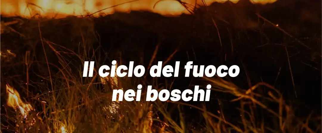 Senza titolo