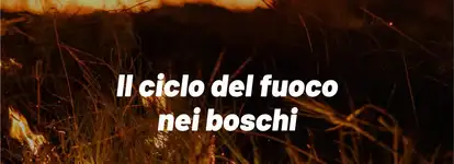 Senza titolo